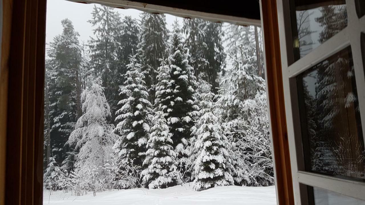 Chalet Taffski ボロヴェッツ エクステリア 写真
